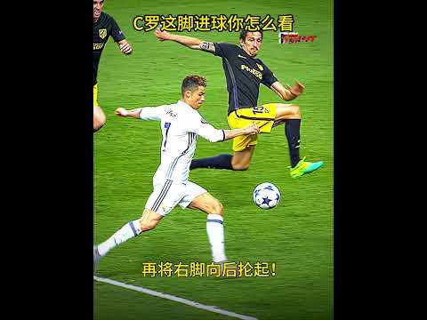 孖寶新星崛,熱門新秀首,秀亮麗,博鱼体育官网,博鱼体育app,博鱼体育APP下载