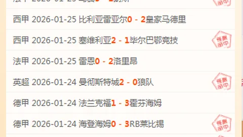 成都蓉城足球俱乐部简要概述